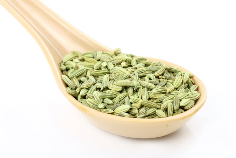 Spoon of fennel seeds