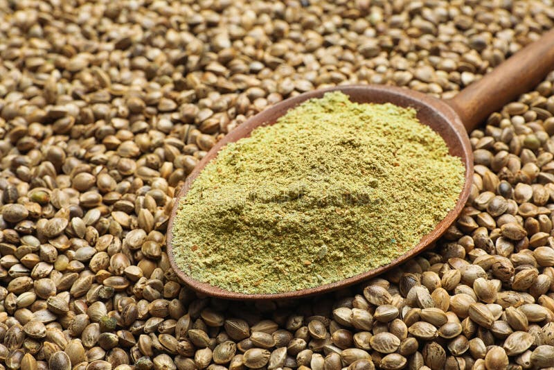 Spoon of Hemp Protein Powder on Seeds Stock Photo Image of closeup