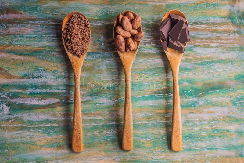Spooner med kakaopulver, kakaobönor och delar av choklad arkivfoton Spooner med kakaopulver, kakaobönor och delar av choklad arkivfoton