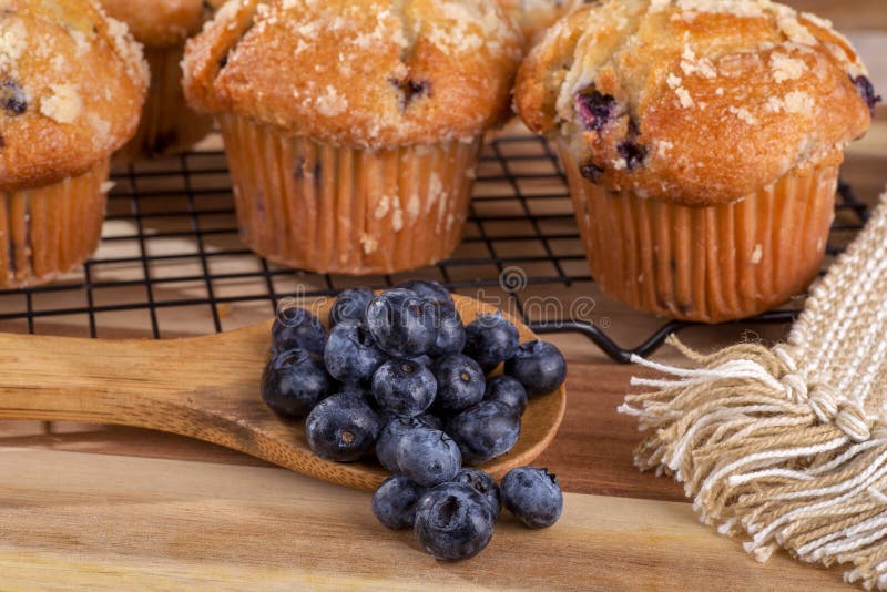 Spoonful of Blueberries and Blueberry Muffins