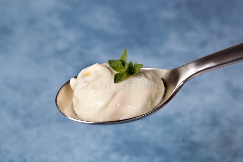 Spoonful of Herbed Mayonnaise