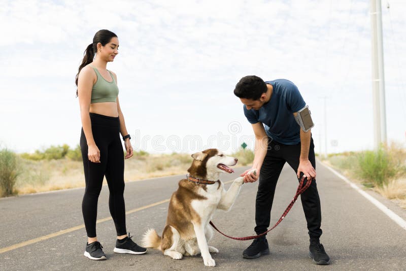 Sporligt par som arbetar med sin hund arkivbilder