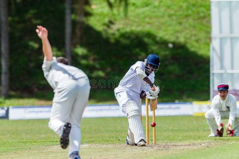 Sport d'action de cricket images libres de droits Sport d'action de cricket images libres de droits