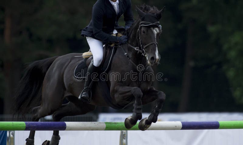 Sport equestri, cavallo che salta, manifestazione che salta, equitazione immagini stock libere da diritti Sport equestri, cavallo che salta, manifestazione che salta, equitazione immagini stock libere da diritti