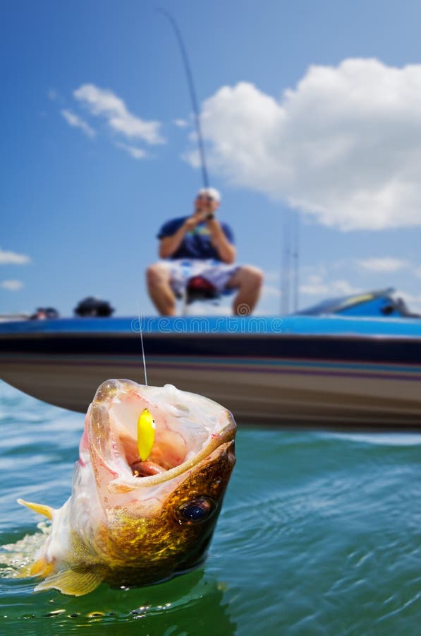 Sport fishing stock photo