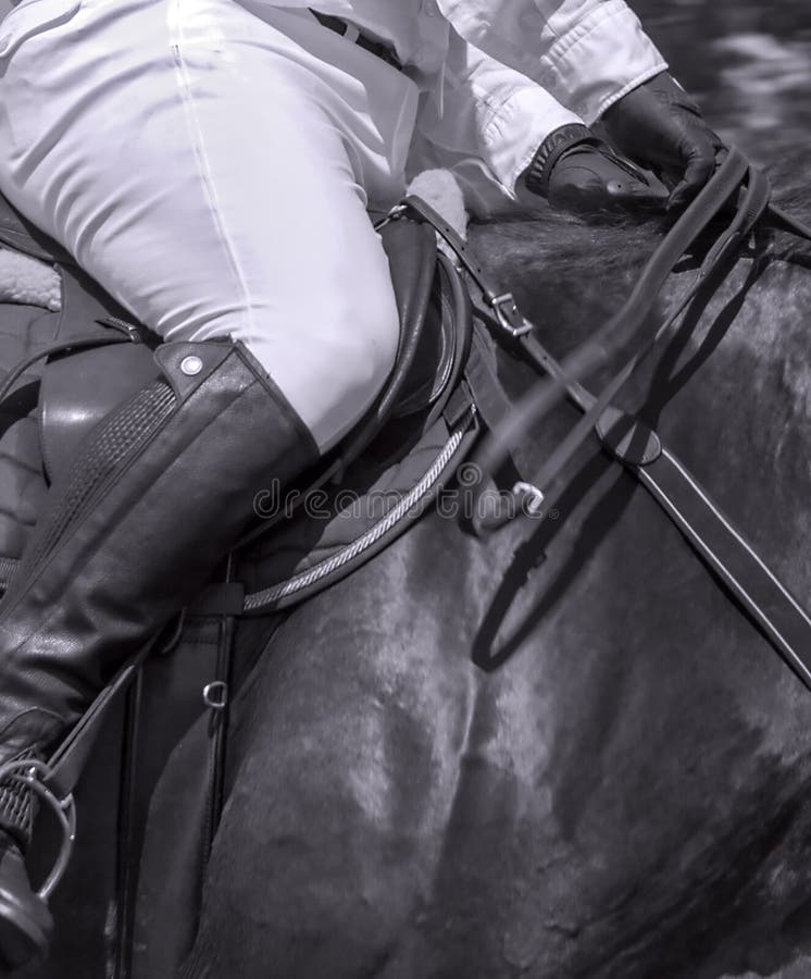 Sport för hästar för sadel för hästryttareläder hängande royaltyfria bilder Sport för hästar för sadel för hästryttareläder hängande royaltyfria bilder