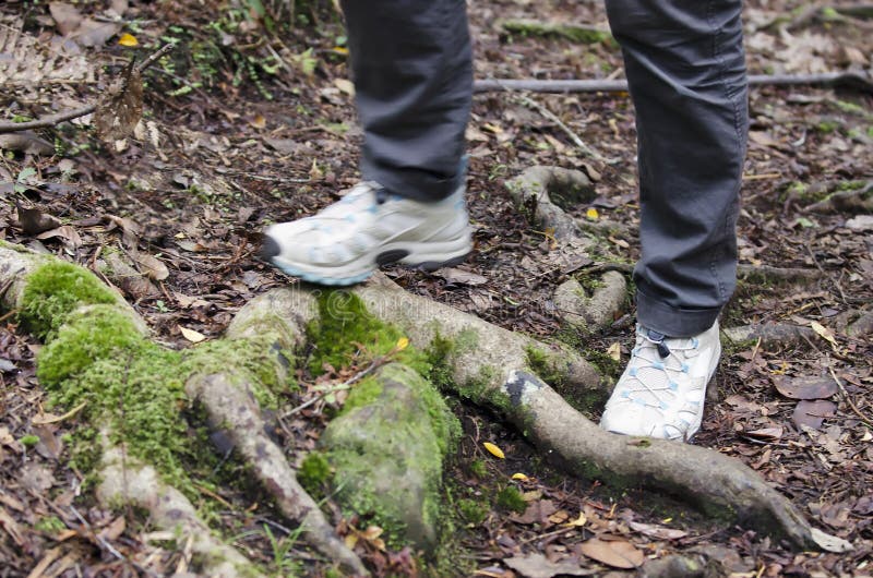 Sport Photos Tramping, Hiking and Walking Stock Photo Image of