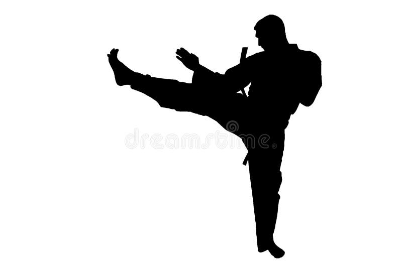 Sport Silhouette, Karate Kick Stock Image Image of silhouette, fight