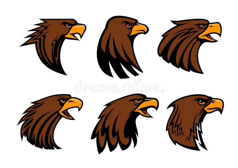 Sport Team Eagle or Hawk Bird Head Vecor Mascot Stock Vector