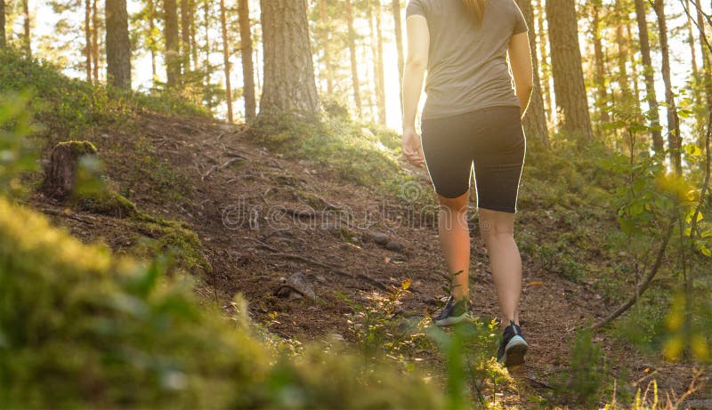 Sportieve jonge vrouw die in bosweg bij zonsondergang lopen royalty-vrije stock fotografie Sportieve jonge vrouw die in bosweg bij zonsondergang lopen royalty-vrije stock fotografie