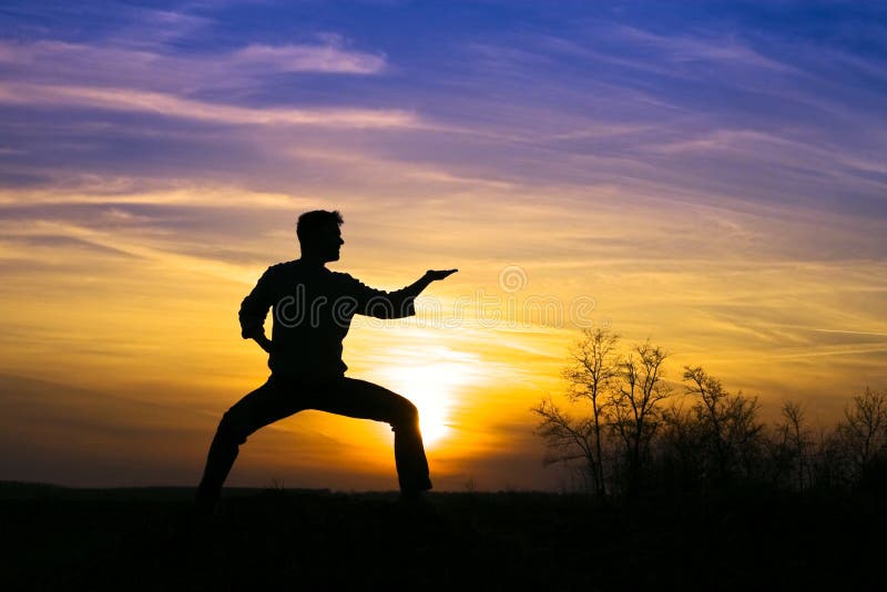 Sportkarate lizenzfreie stockfotografie Sportkarate lizenzfreie stockfotografie