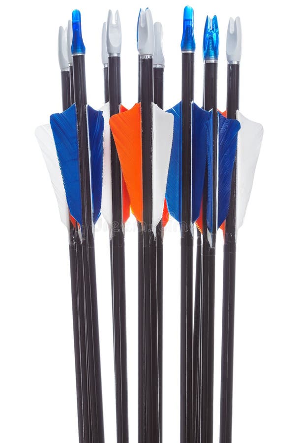 Sport arrows with fletching and nocks isolated. Sport arrows with fletching and nocks isolated