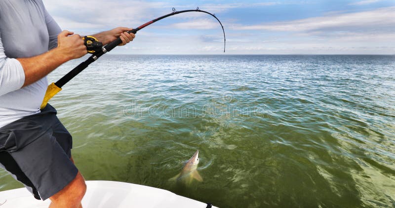 Sports fishing fisherman man pulling off spinner shark . Big game blue water fish catch and release . Boat tour tourism activity on the sea.