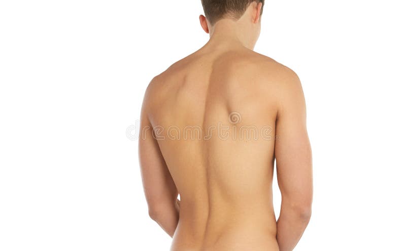 Sports and fitness topic: naked sporty man standing back isolated on a white background in the studio, human anatomy royalty free stock photos Sports and fitness topic: naked sporty man standing back isolated on a white background in the studio, human anatomy royalty free stock photos