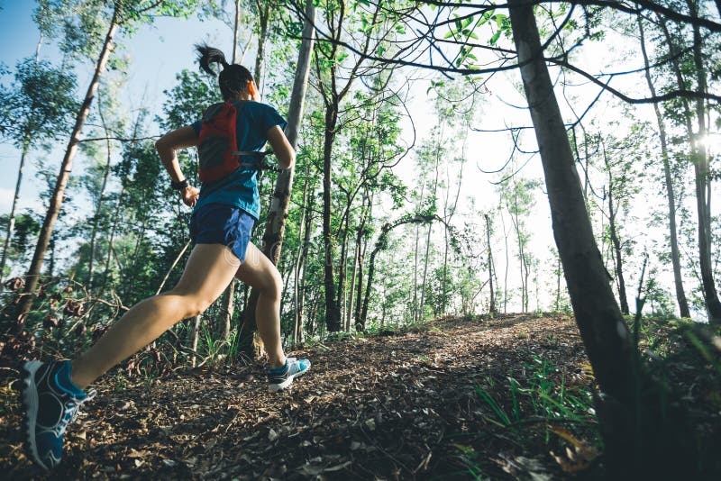 Runner Cross Country Trail Running in Forest Stock Photo - Image of ...