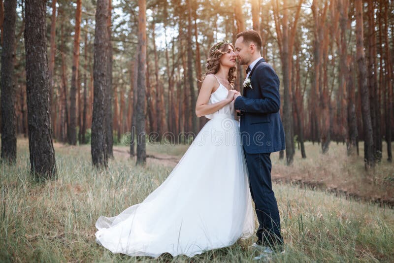 Sposa e sposo al giorno delle nozze che camminano all'aperto sulla natura di estate Coppie nuziali, donna felice della persona ap fotografia stock libera da diritti Sposa e sposo al giorno delle nozze che camminano all'aperto sulla natura di estate Coppie nuziali, donna felice della persona ap fotografia stock libera da diritti