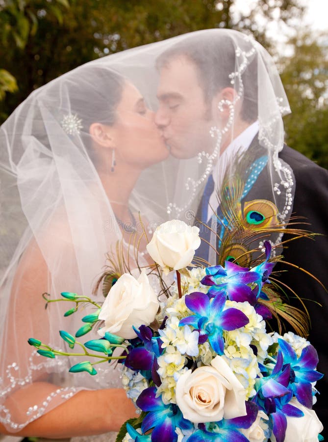 Sposa e sposo che baciano sotto il velare fotografie stock Sposa e sposo che baciano sotto il velare fotografie stock