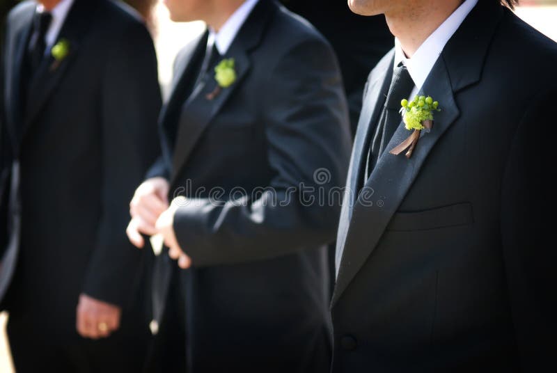 Sposo di giorno delle nozze ed il suo boutonniere fotografie stock libere da diritti Sposo di giorno delle nozze ed il suo boutonniere fotografie stock libere da diritti