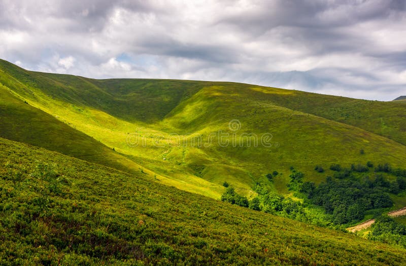 Hillside Stock Photos, Royalty Free Hillside Images