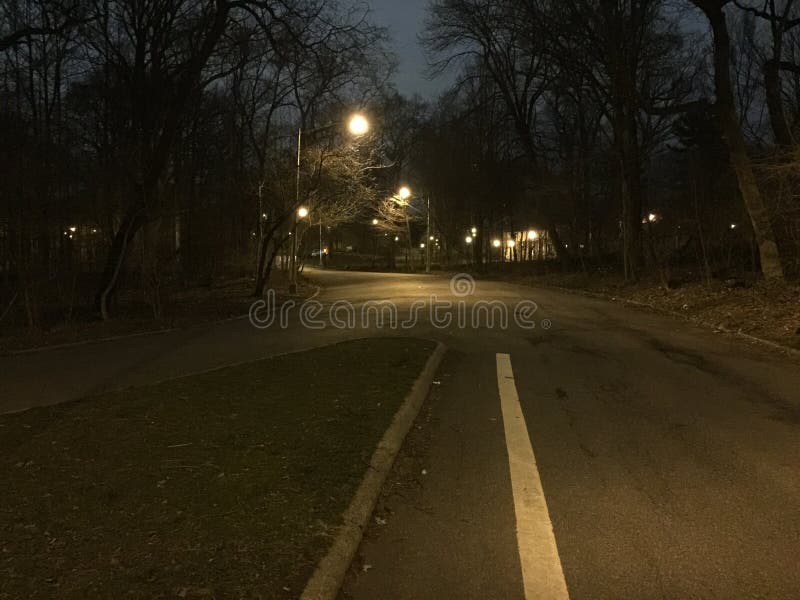 Spotlight in the park stock photo. Image of prospect 52781556