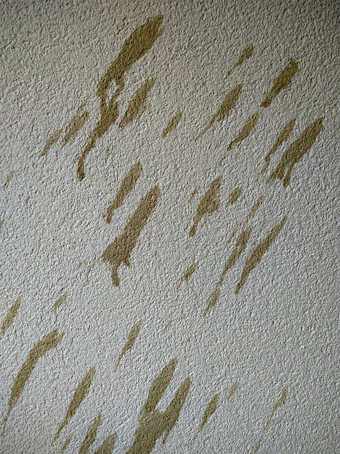 Spots from Coffee on White Wall Texture Stock Photo Image of texture