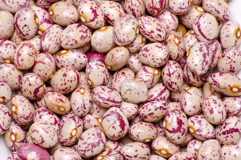 Spotted beans stock image. Image of grain, nature, assortment 23800469