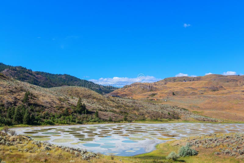 4 666 Spotted Lake Photos Free Royalty Free Stock Photos From Dreamstime