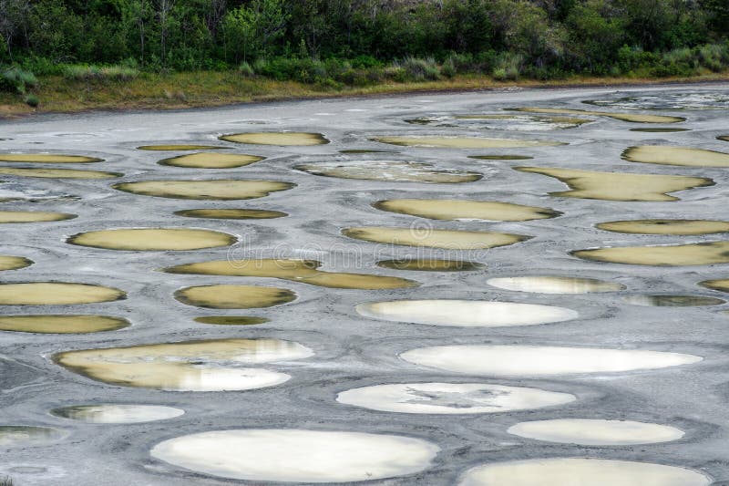 Spotted Lake close view in Okanagan valley stock images