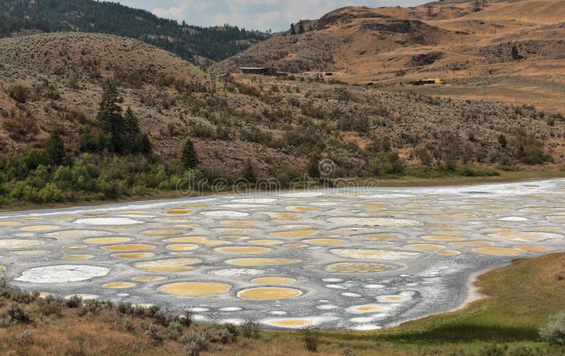 Spotted Lake stock images Spotted Lake stock images