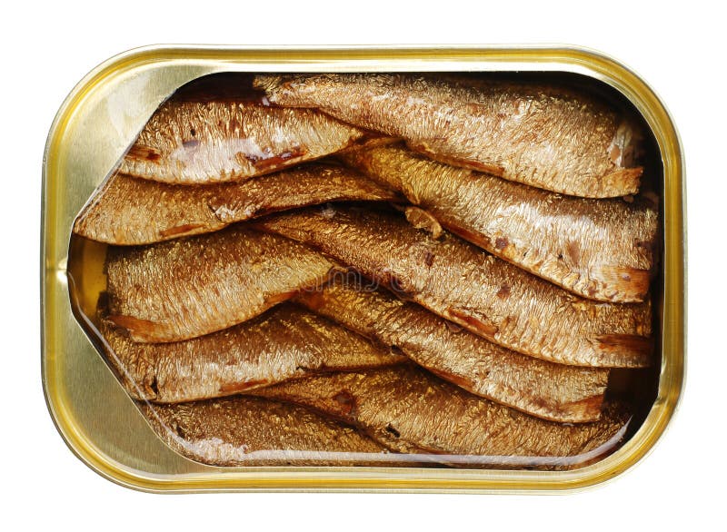 Sprat fish canned stock image. Image of metallic, kipper 5143413