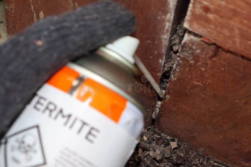 Spray Chemicals To Kill Termites in the Wall Holes Stock Photo Image of maintenance, brown