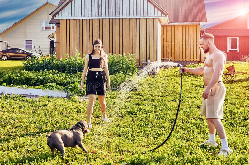 Playful American Bully dog grabs with its mouth splashes of water from garden hose, which is held in hands of white shirtless man of about 30 years old, mans wife stands nearby and smiles. Playful American Bully dog grabs with its mouth splashes of water from garden hose, which is held in hands of white shirtless man of about 30 years old, mans wife stands nearby and smiles.