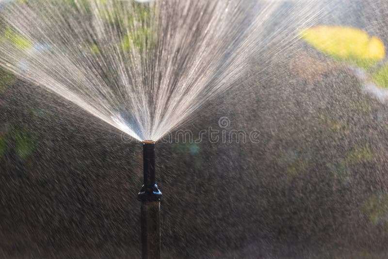 Spray head sprinkler watering in backyard royalty free stock photography