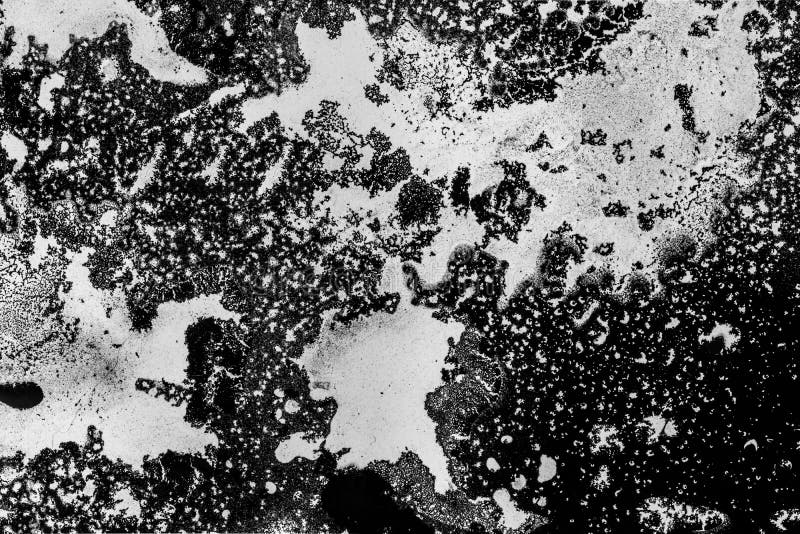 296 Black Paint Spray Vector Texture Splatter Pattern Stock Photos