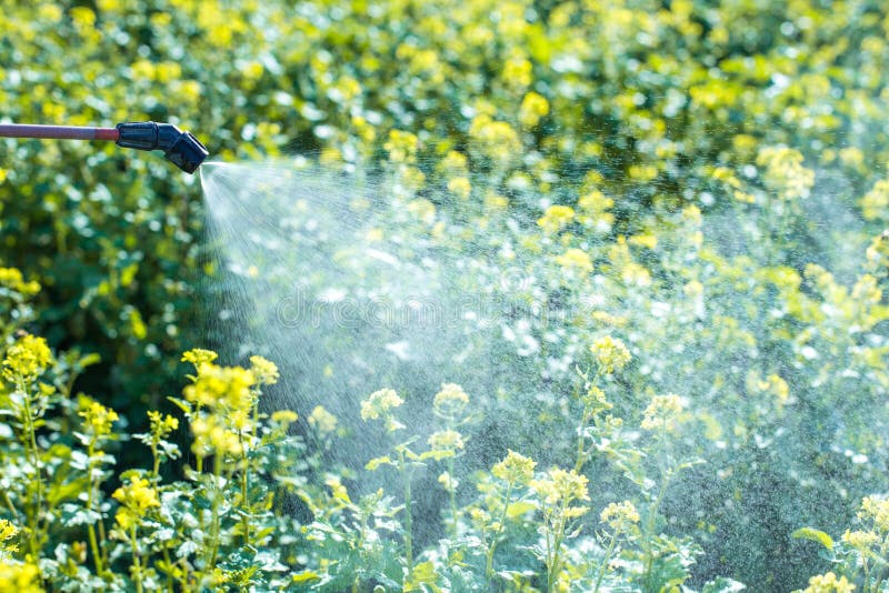 Spray pest control on a fields, water soluble fertilizer. Spray pest control on a fields, water soluble fertilizer