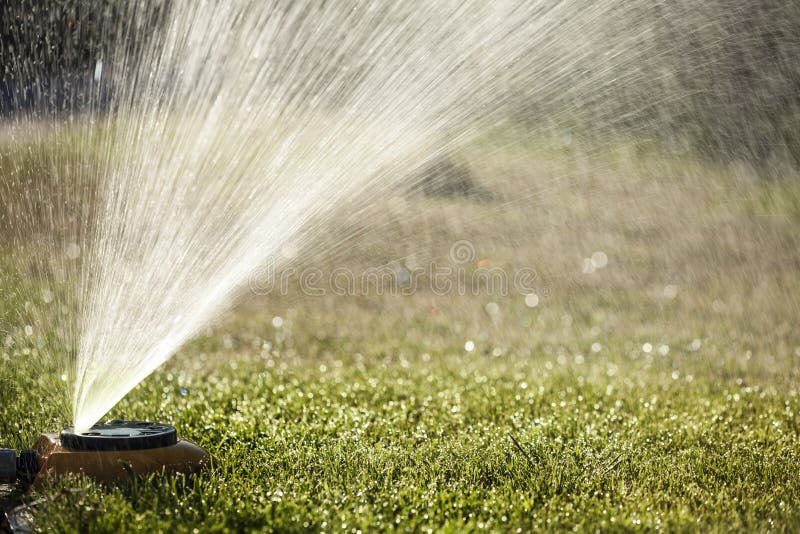 Sprayer watering the lawn royalty free stock photo