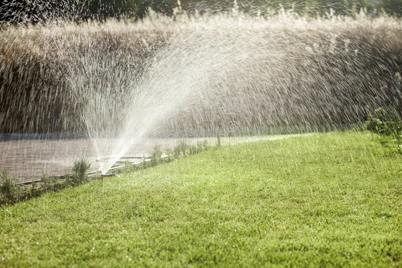 Sprayer watering the lawn royalty free stock photo