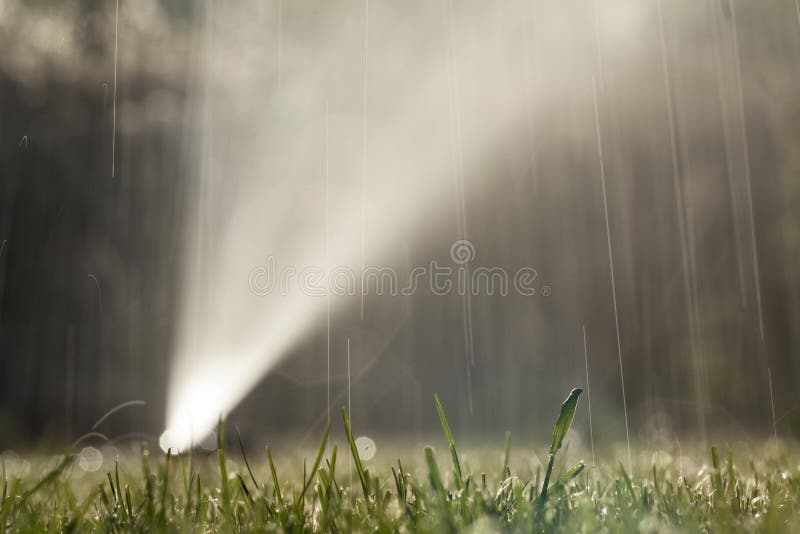 Sprayer watering the lawn royalty free stock images
