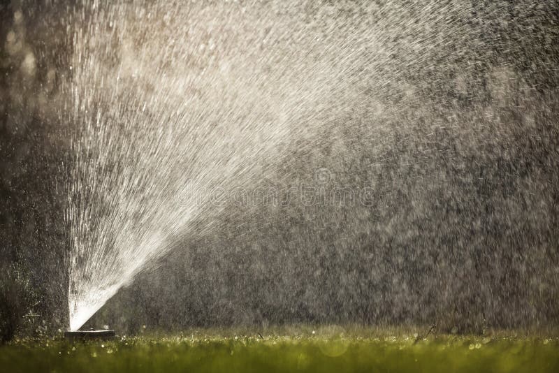 Sprayer watering the lawn royalty free stock photography