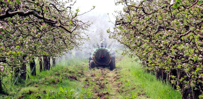 Picture of a spraying apple orchard in macedonia. Picture of a spraying apple orchard in macedonia