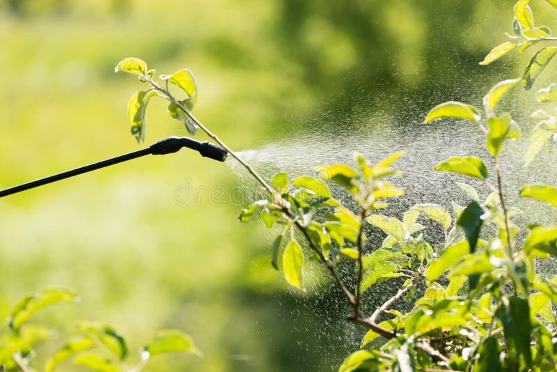 1,997 Fruit Spraying Stock Photos Free & RoyaltyFree Stock Photos