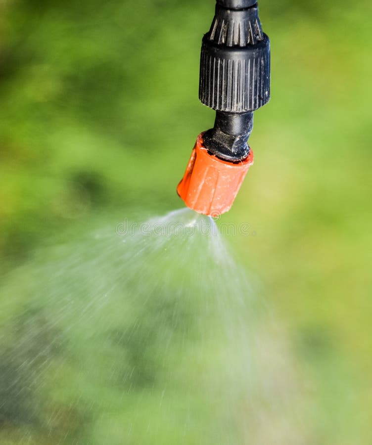 Spraying Herbicide from the Nozzle of the Sprayer Manual Stock Image