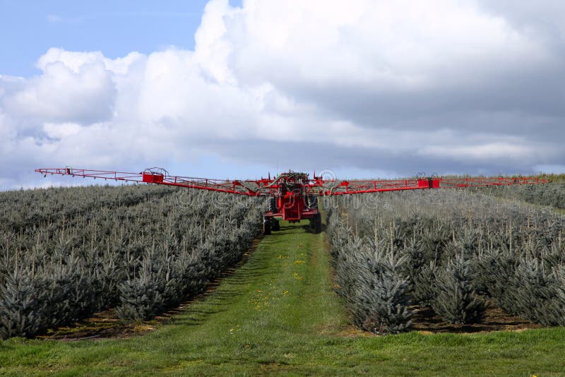 Spraying insecticide. royalty free stock photography Spraying insecticide. royalty free stock photography