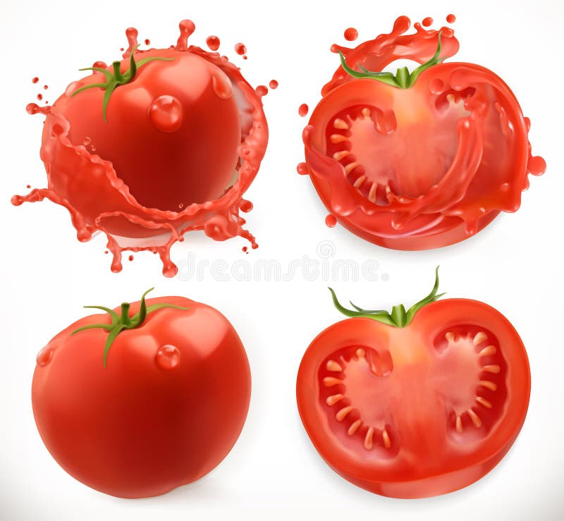 Spremuta di pomodori alimento fresco di vegetable Insieme dell'icona di vettore illustrazione vettoriale