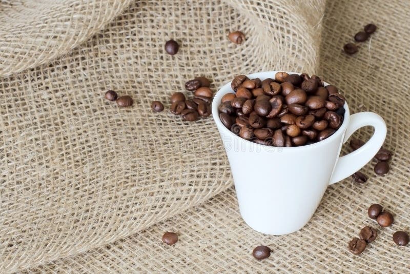 Spridda kaffebönor och den vita exklusiva porslinkoppen fyllde med doftande grillade kaffebönor på att plundra för jute arkivfoton Spridda kaffebönor och den vita exklusiva porslinkoppen fyllde med doftande grillade kaffebönor på att plundra för jute arkivfoton
