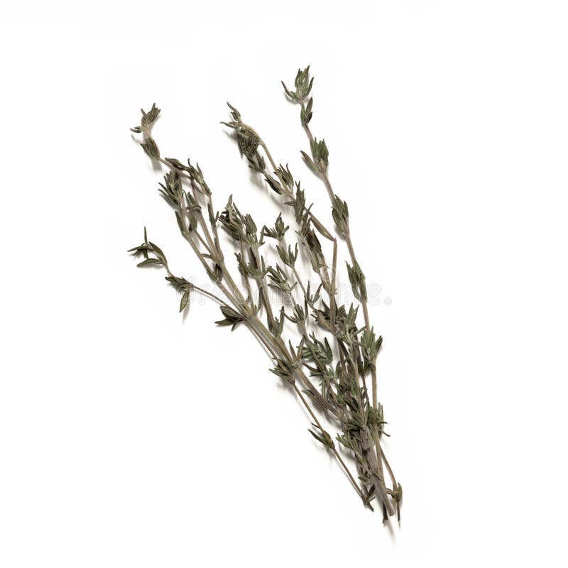 convert 1 sprig fresh thyme to dried convert 1 sprig fresh thyme to dried