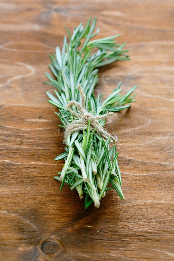 Sprig of Rosemary stock image. Image of herb, white, sprig - 8484123