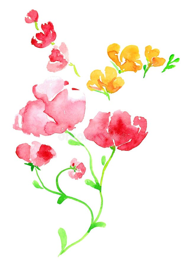 Sprigs menchii i koloru żółtego kwiaty ilustracja wektor Sprigs menchii i koloru żółtego kwiaty ilustracja wektor