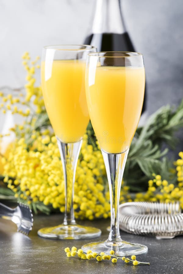 Spring alcohol cocktail mimosa with orange juice and cold dry champagne or sparkling wine in glasses, gray bar counter background with yelow flowers, copy space, selective focus