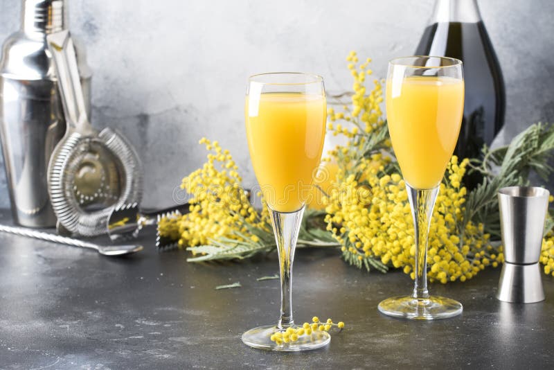 Spring alcohol cocktail mimosa with orange juice and cold dry champagne or sparkling wine in glasses, gray bar counter background with yelow flowers, copy space, selective focus